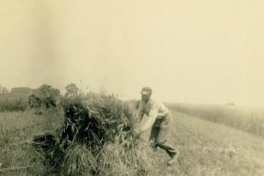 Black man at work in a field