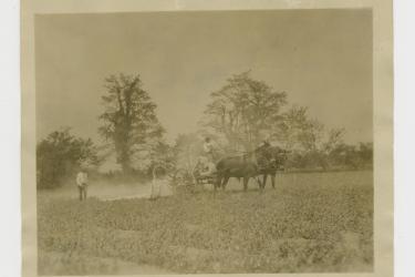 Black man sat atop a horse-drawn cart, dusting crops while a white man follows behind