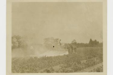 Black man sat atop a horse-drawn cart, dusting crops