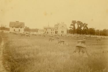 Black man at work in a field in front of Rossborough Inn