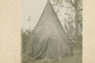Black man putting sheet tent over a tree