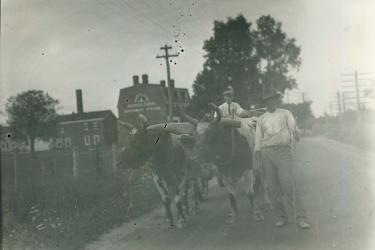 Black men next to oxcart being driven by a white man in front of Rossborough Inn