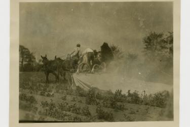 Black man sat atop a horse-drawn cart, spraying fields