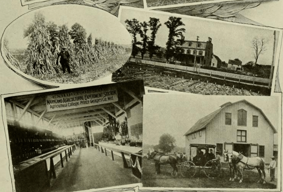 yearbook page featuring four photos of Maryland Agricultural College, where two images show Black men tending fields and horses