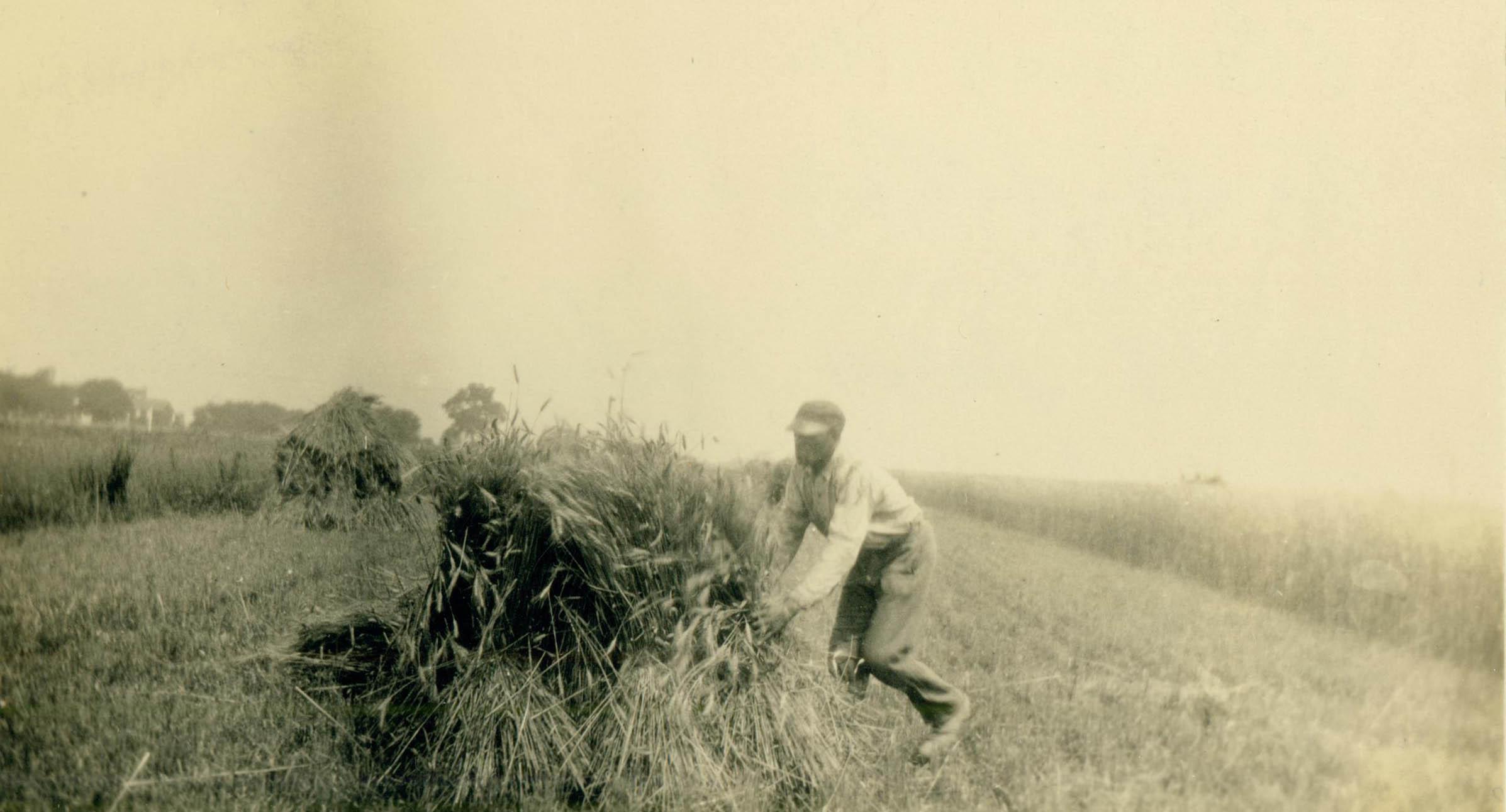 Black man at work in a field