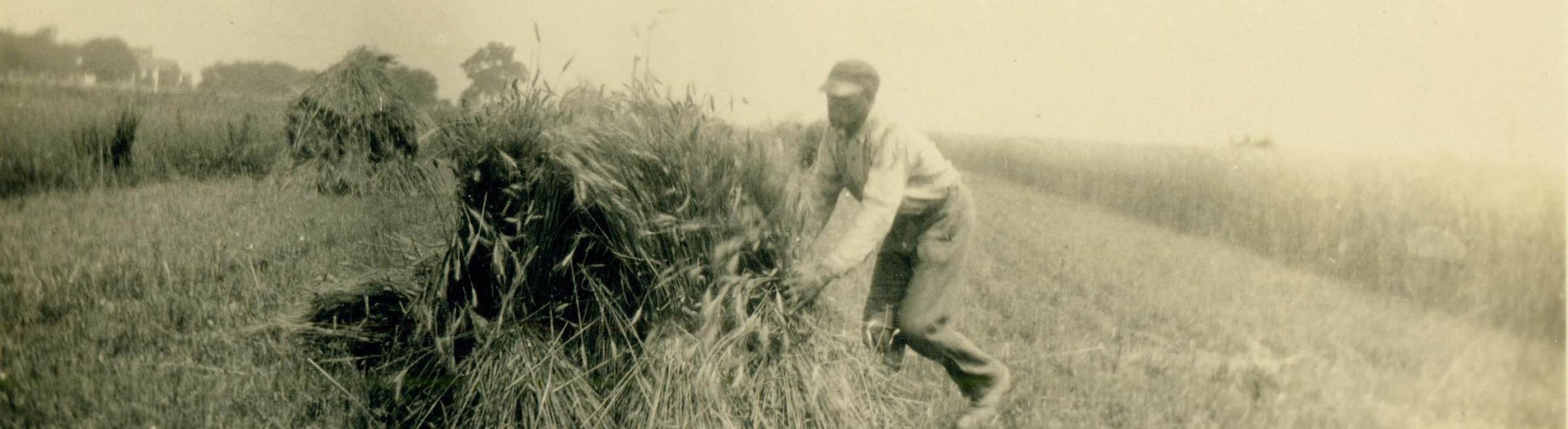 Black man at work in a field