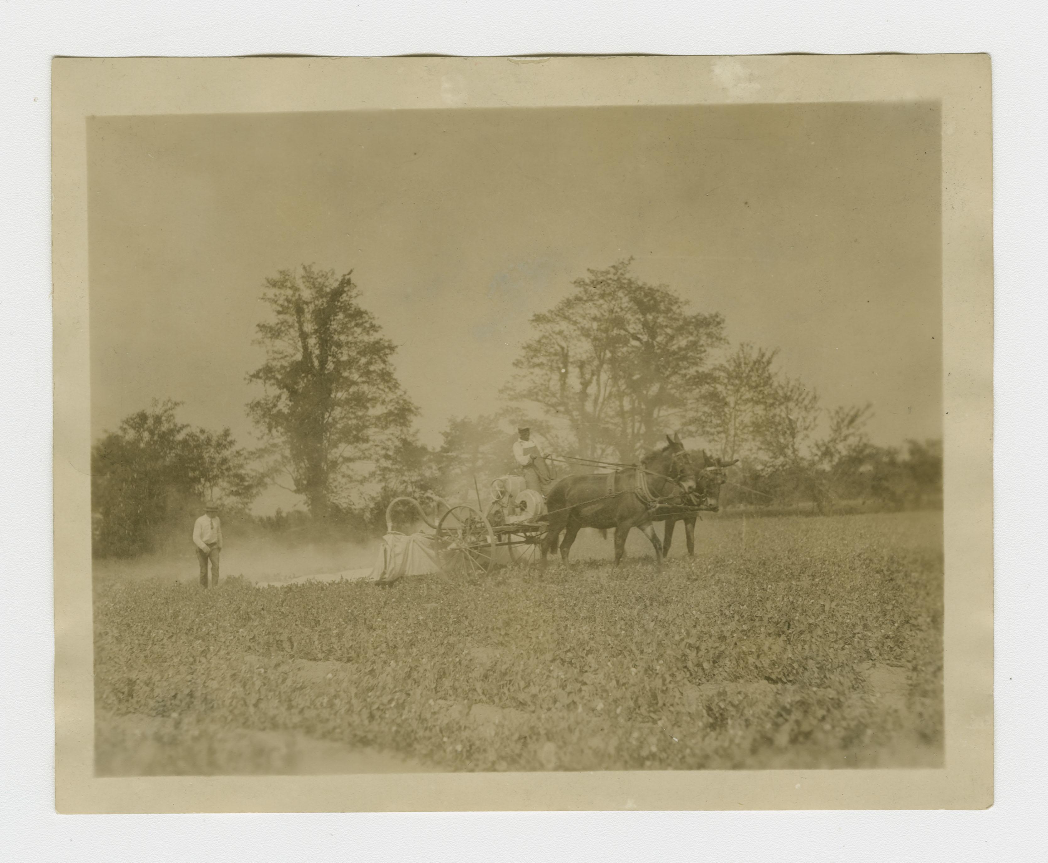 Black man sat atop a horse-drawn cart, dusting crops while a white man follows behind