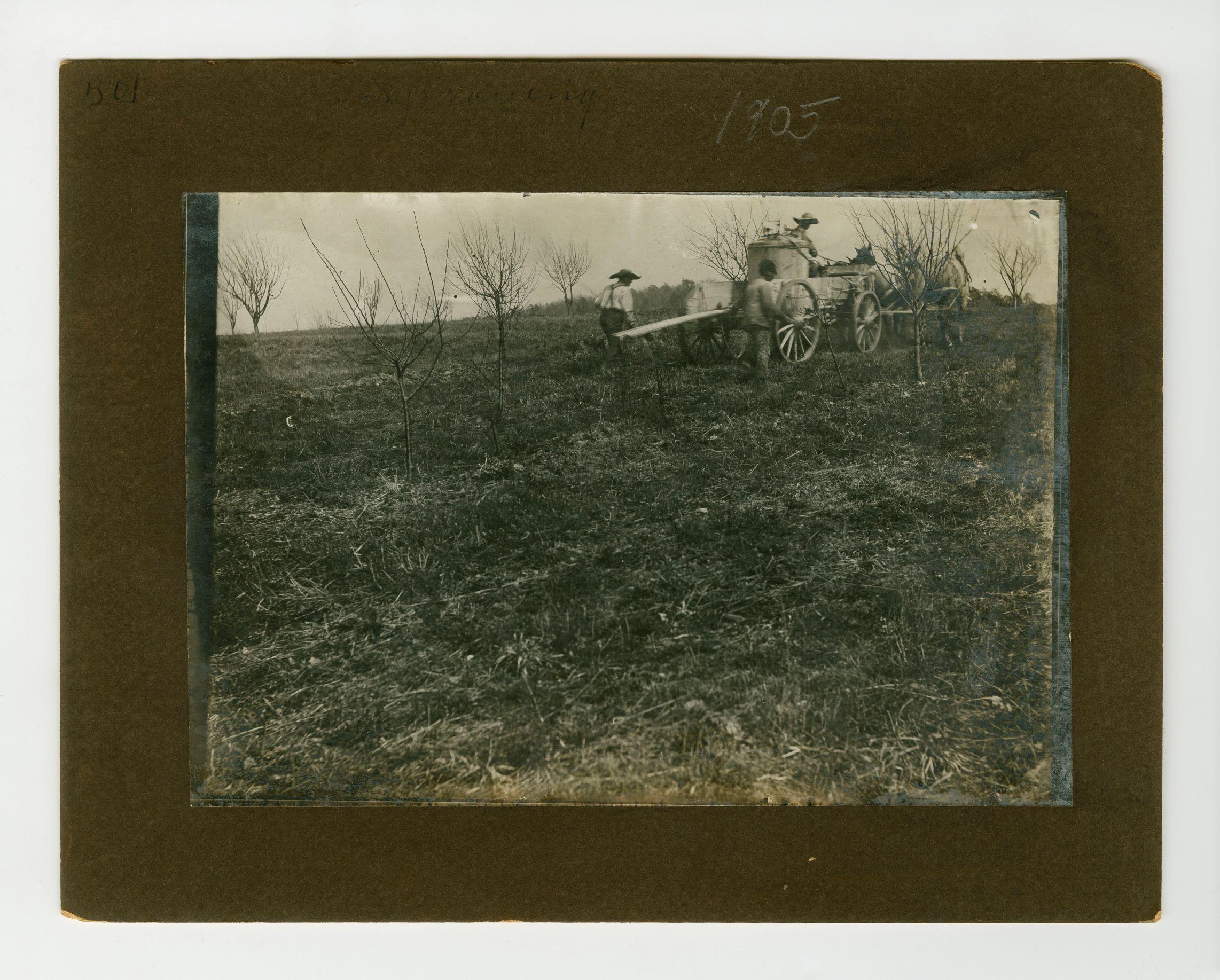 Black man sat atop a horse-drawn cart, spraying fields while two Black men follow behind