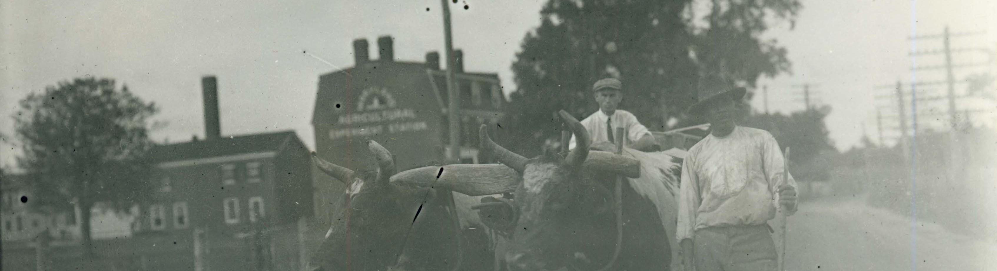 Black man standing in front of oxcart being driven by a white man