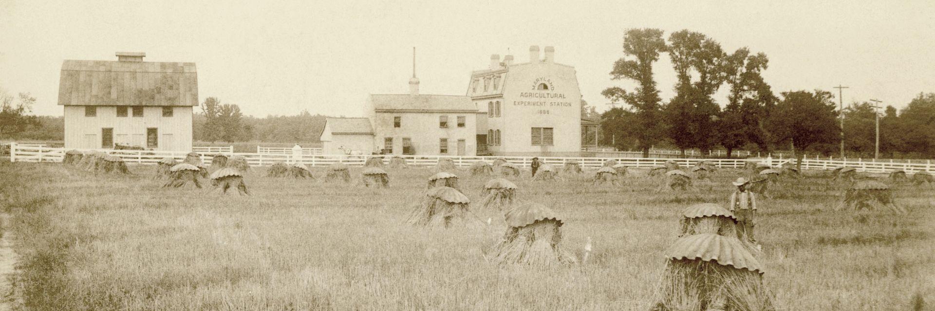 historical sepia-toned photo of a Black man standing in a field by a hay bale in front of Rossborough Inn on UMD's College Park campus